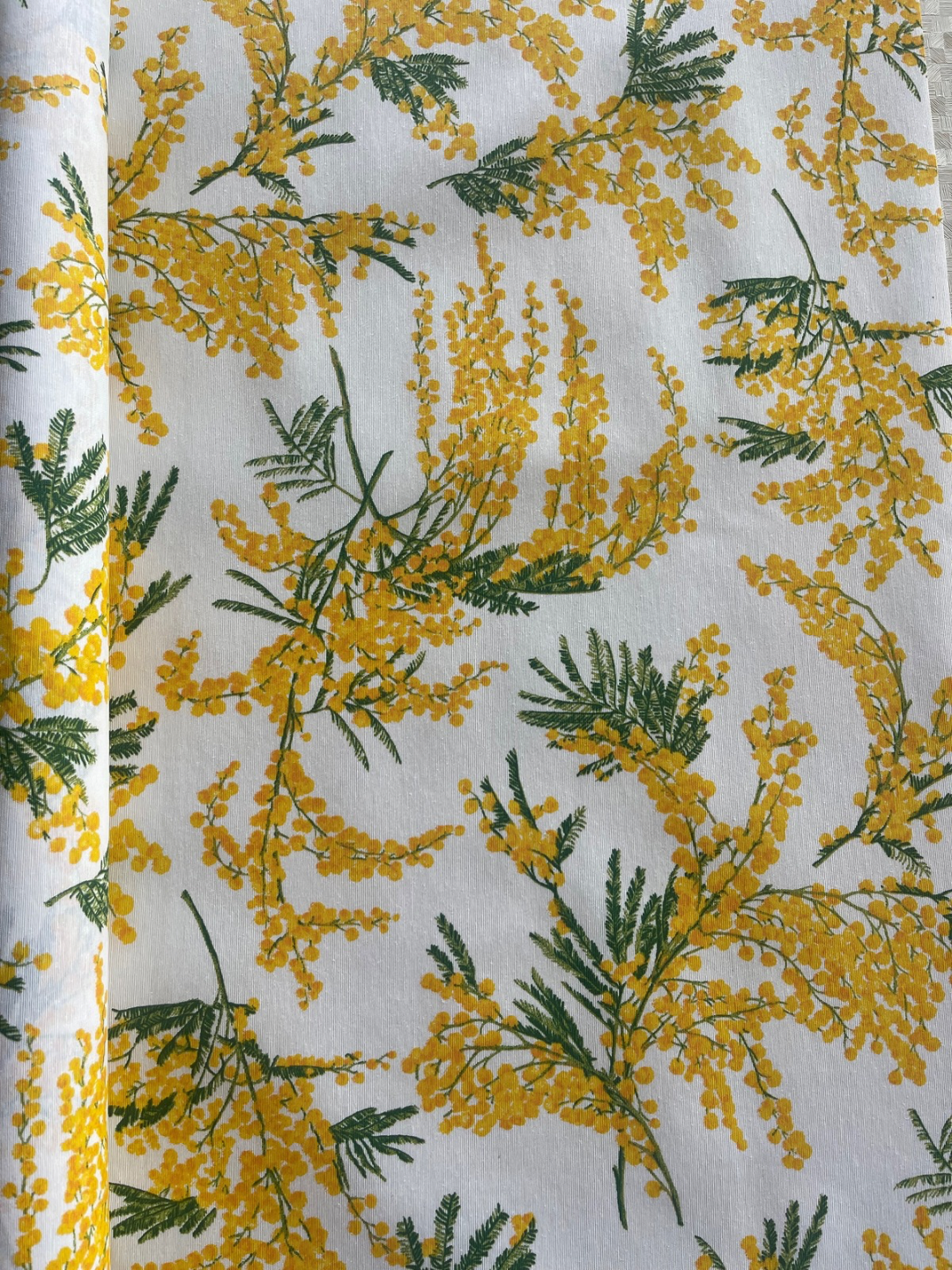 Medidas Especiales(Resinadas) - Mimosas